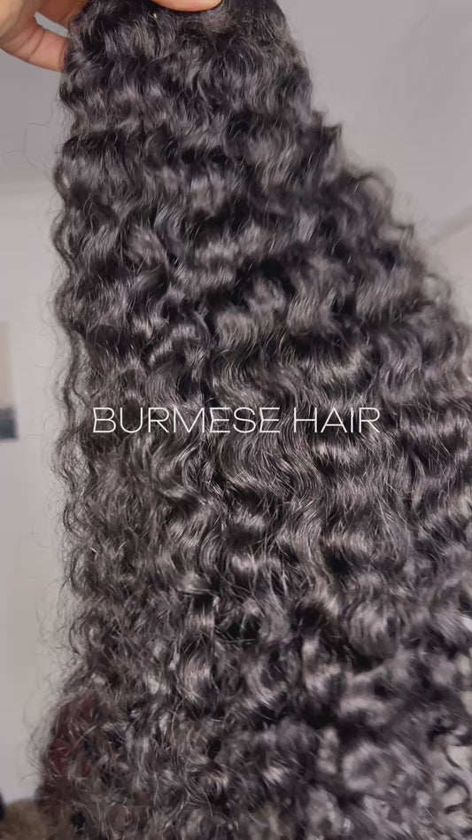 Burmese curly